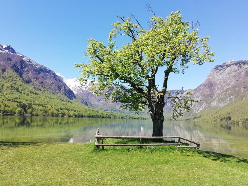 Apartment Mlakar Bohinj Eksteriør billede