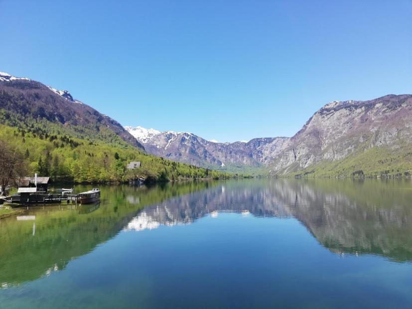 Apartment Mlakar Bohinj Eksteriør billede