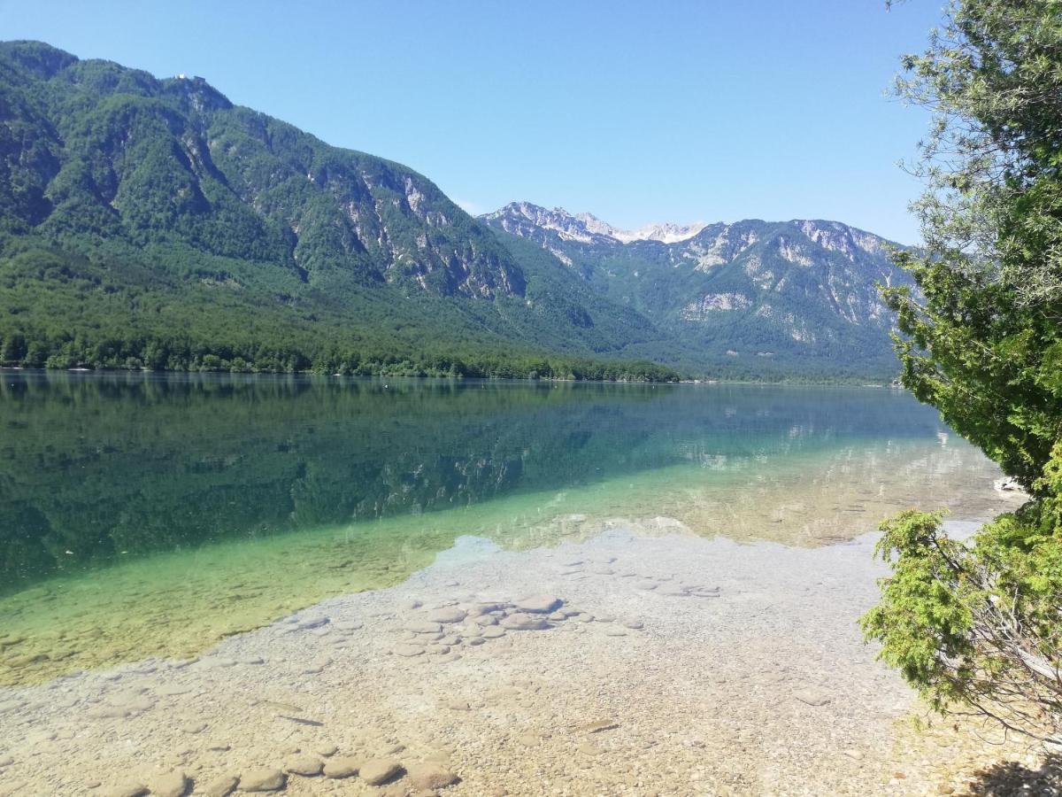 Apartment Mlakar Bohinj Eksteriør billede