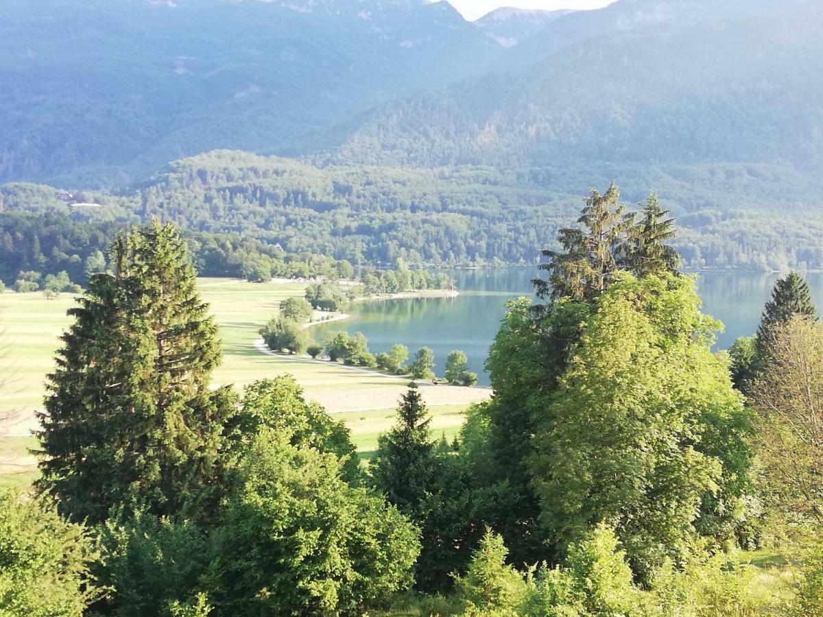Apartment Mlakar Bohinj Eksteriør billede