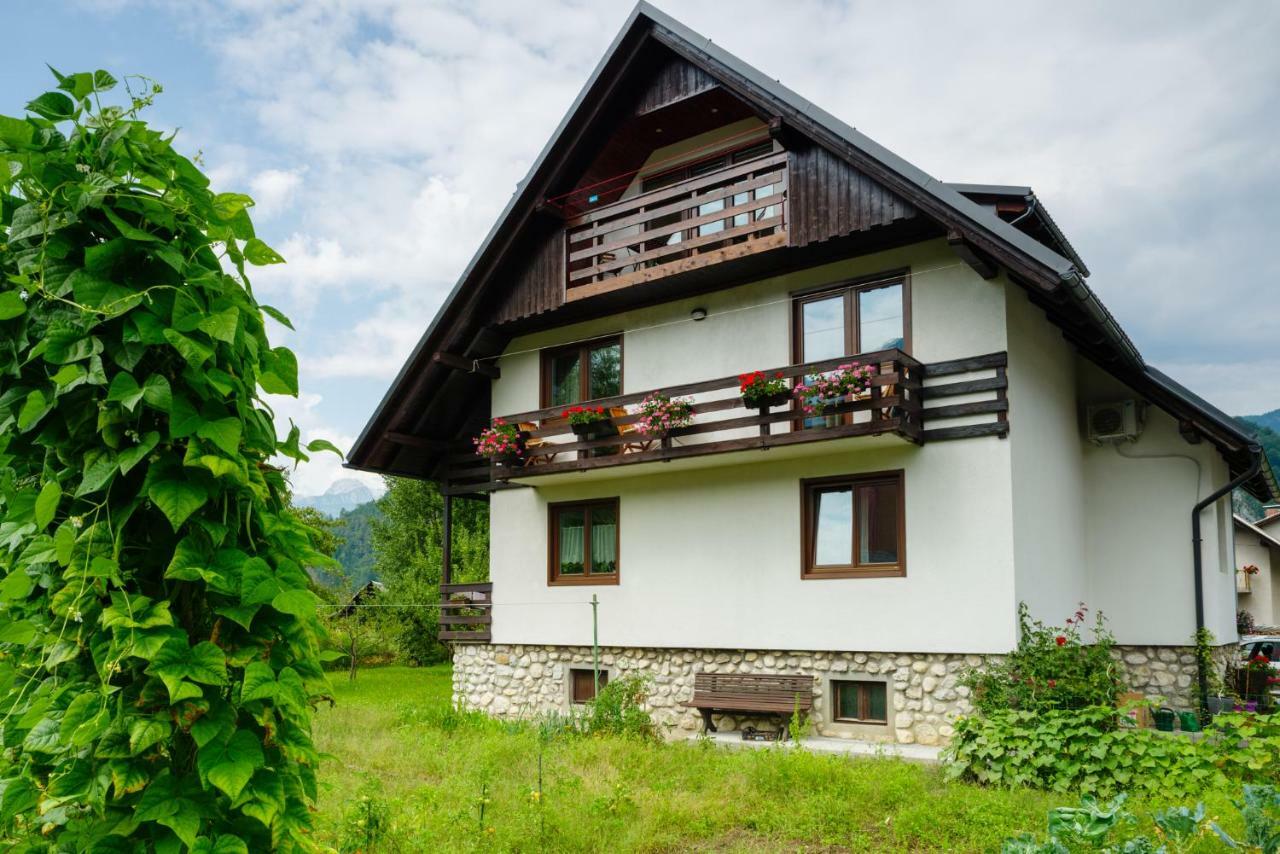 Apartment Mlakar Bohinj Eksteriør billede